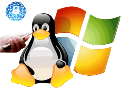 Linux / Windows Servers